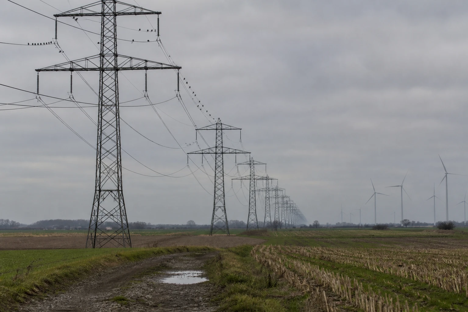 Hochspannungsleitungen ziehen über eine flache norddeutsche Landschaft zum Horizont, im Hintergrund drehen sich Windräder
