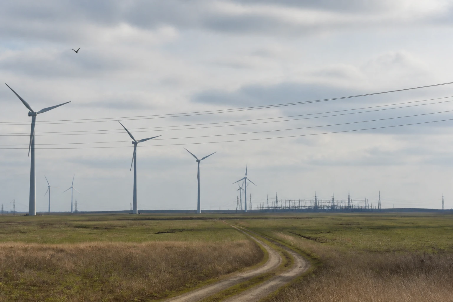 Windpark und ein entferntes Umspannwerk in flacher Landschaft, durch Freileitungen über das Feld hinweg verbunden