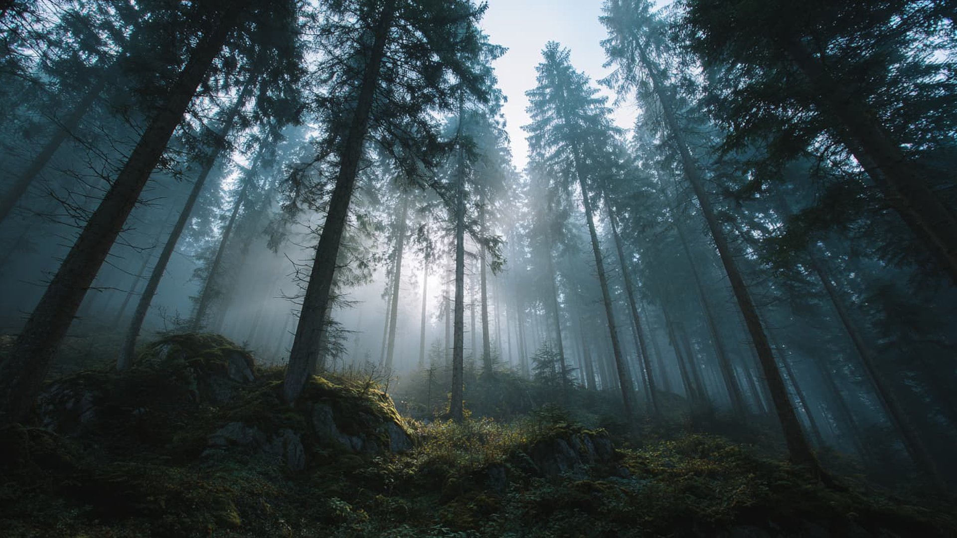 RISE with SAP cloud transformation hero image