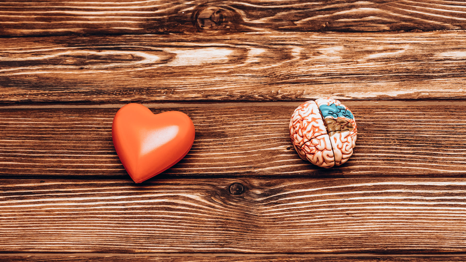 top-view-of-human-brain-and-red-heart-on-wooden-su